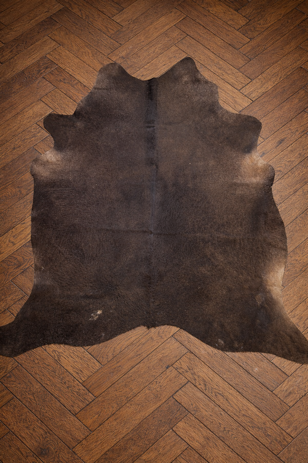 Cowhide
