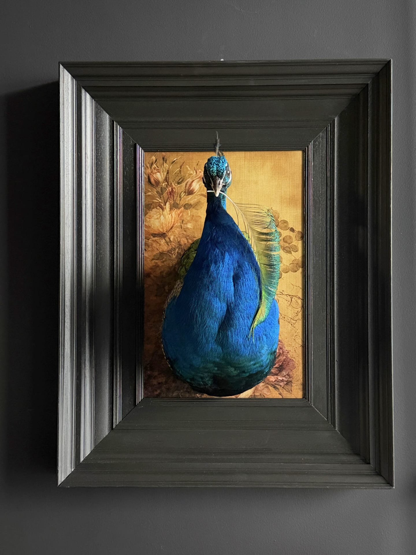 Opgezette pauw kunstwerk