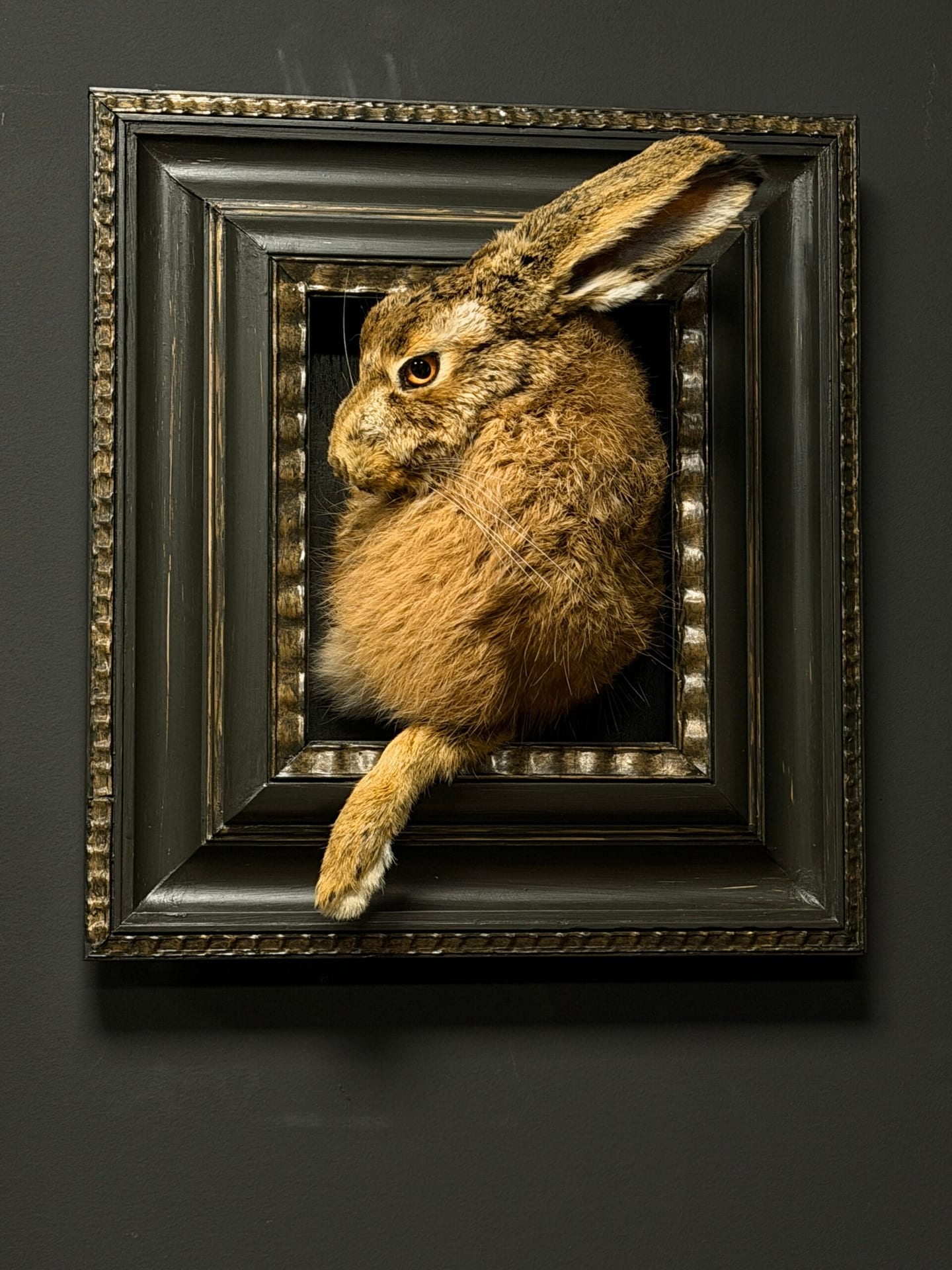 Ausgestopfter Hase