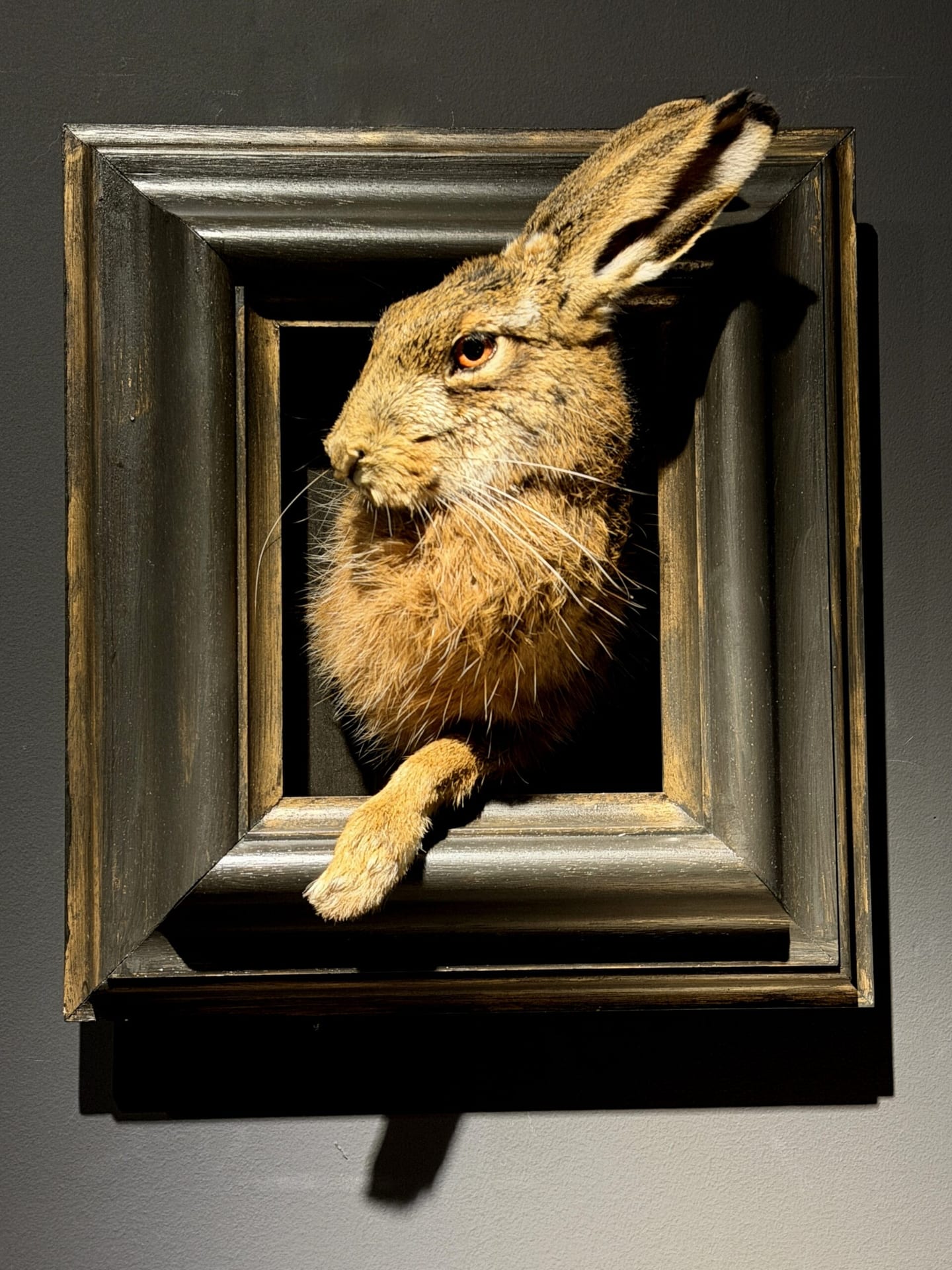 Ausgestopfter Hase