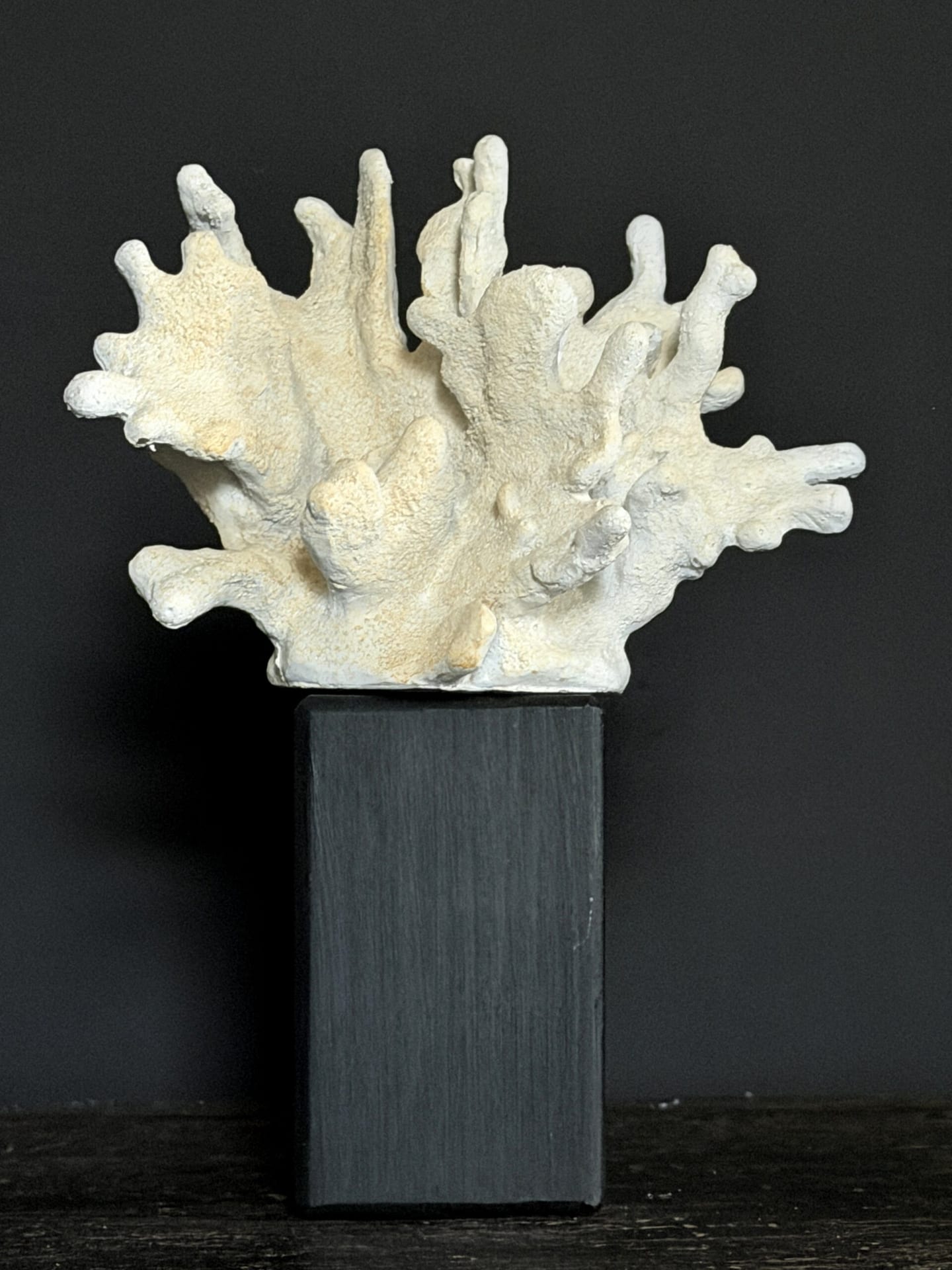 Decoratief koraal