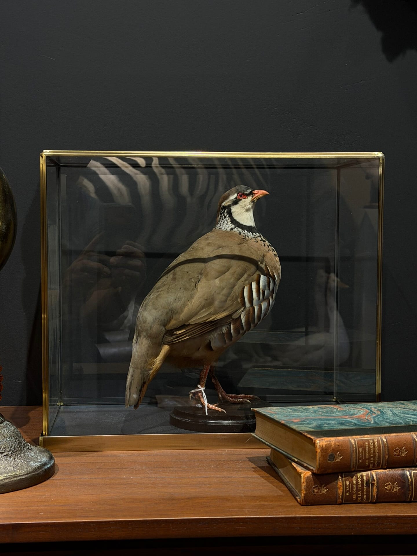 Glazen vitrine