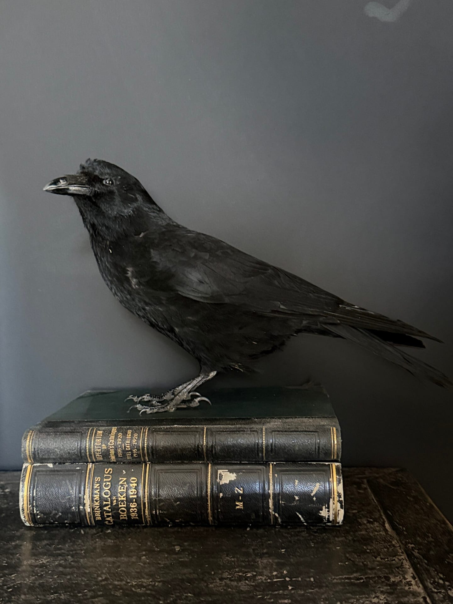 Чучело вороны на антикварных книгах