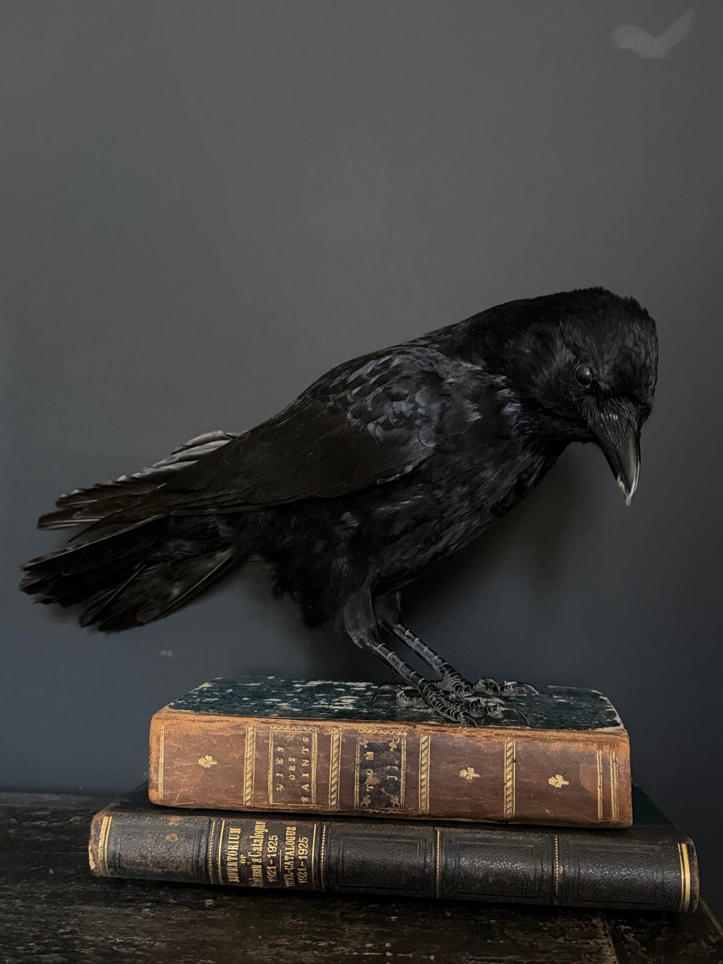 Чучело вороны на антикварных книгах