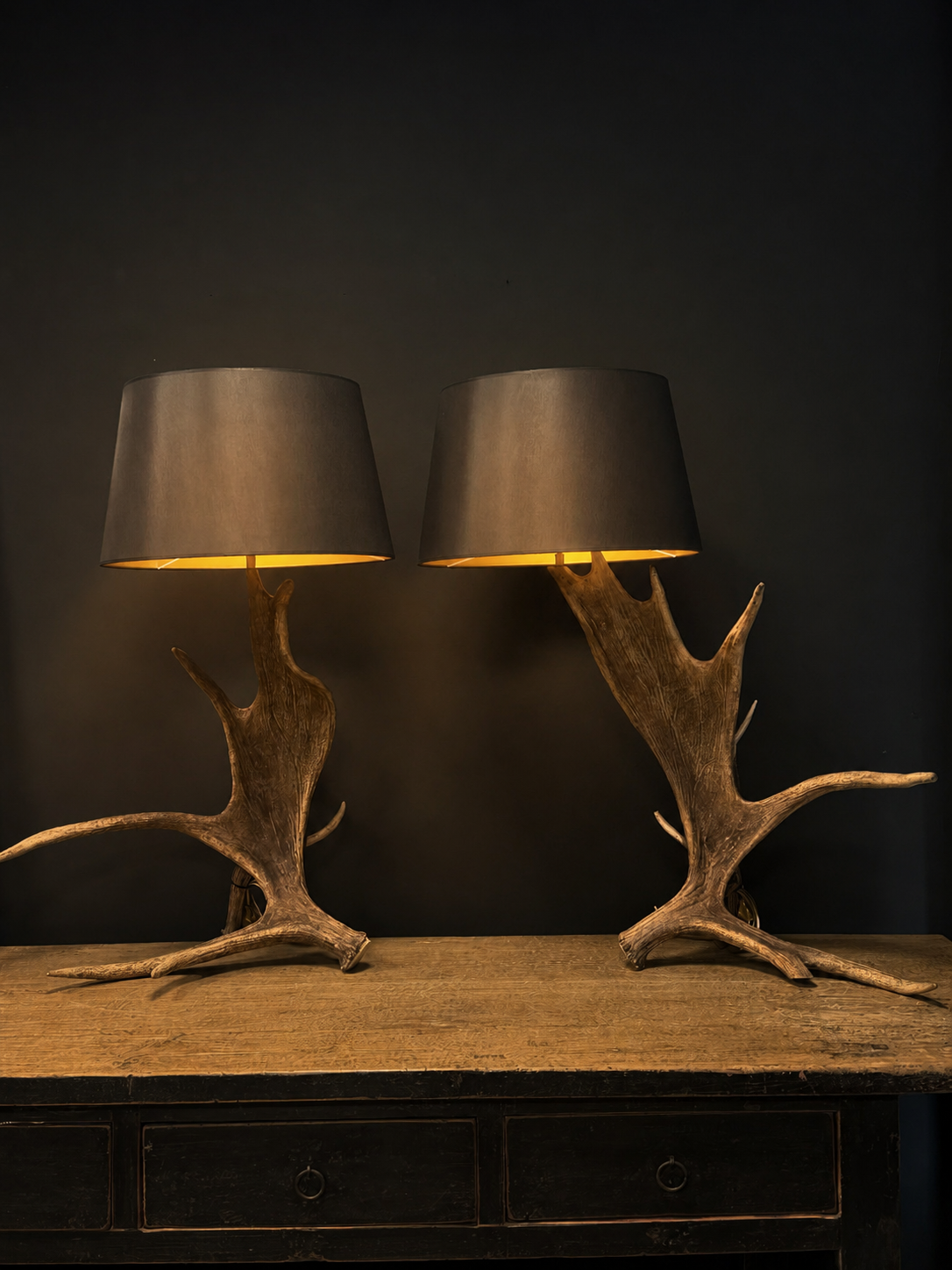 Geweih Lampe Kanadischer Elch