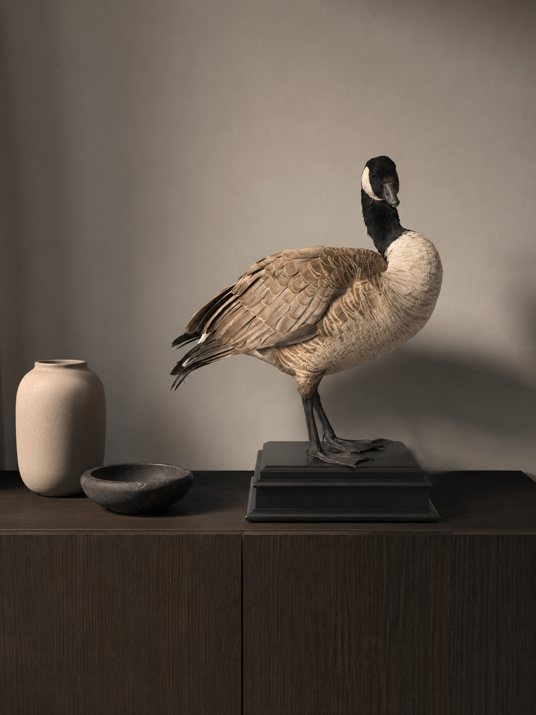 Opgezette Canadese gans