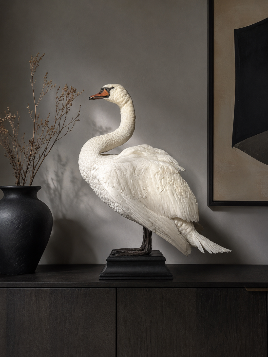 Taxidermy swan